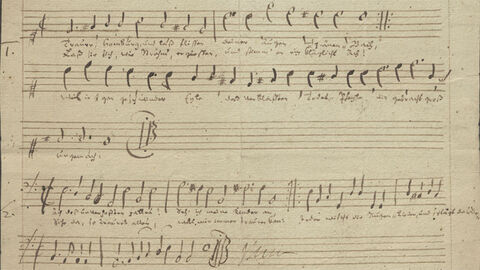 Die Teilnehmenden an der Podiumsdiskussion am 1. Oktober: Lena Liebau (Schlösser und Gärten), Magdalena Hinterdobler (Oper Frankfurt), Holger Gräf (HIL), Mareike Wink (Oper Frankfurt), Kirsten Worms (Schlösser und Gärten)